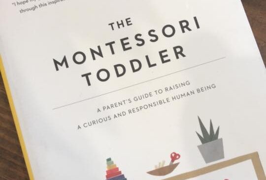 Montessori Book Recommendations: Learn More About a Montessori Education and the Benefits to Your Child